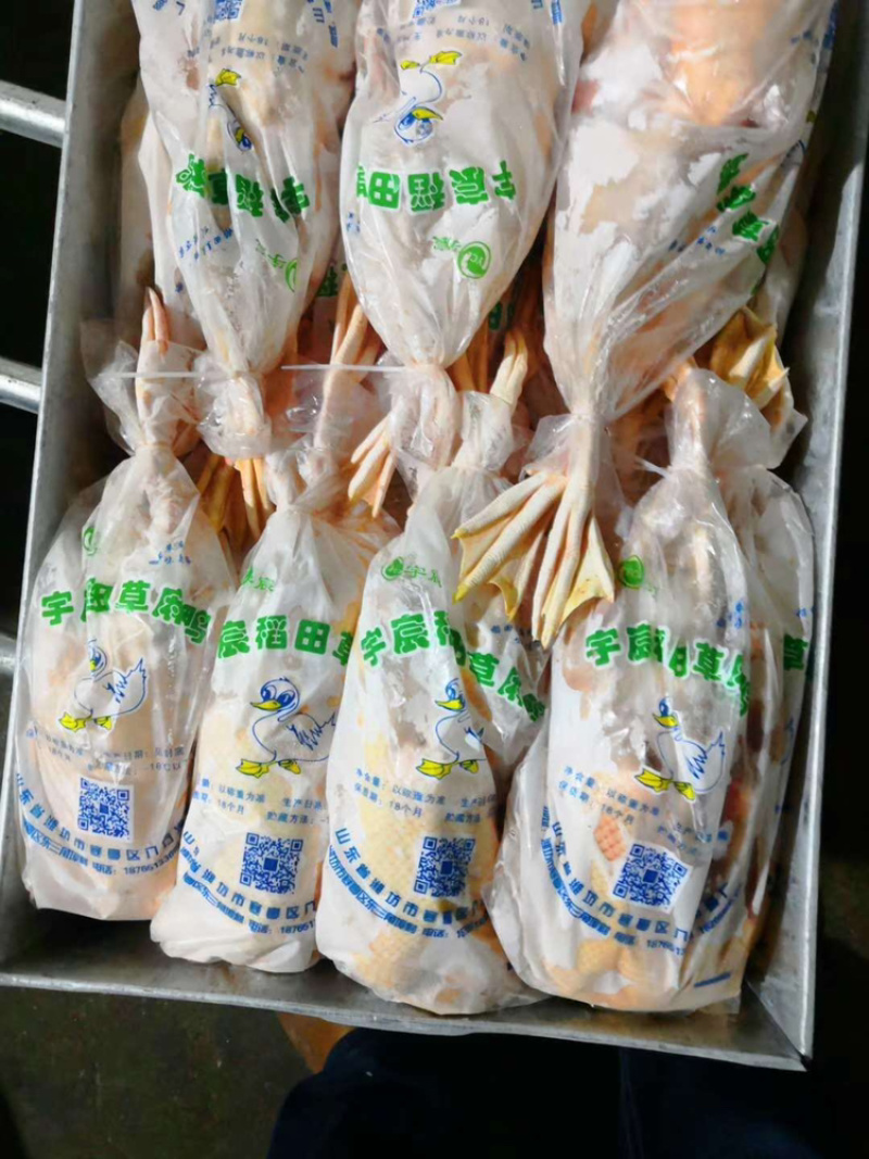 精选草麻鸭开背公鸭，青年麻鸭量大优惠保质保量