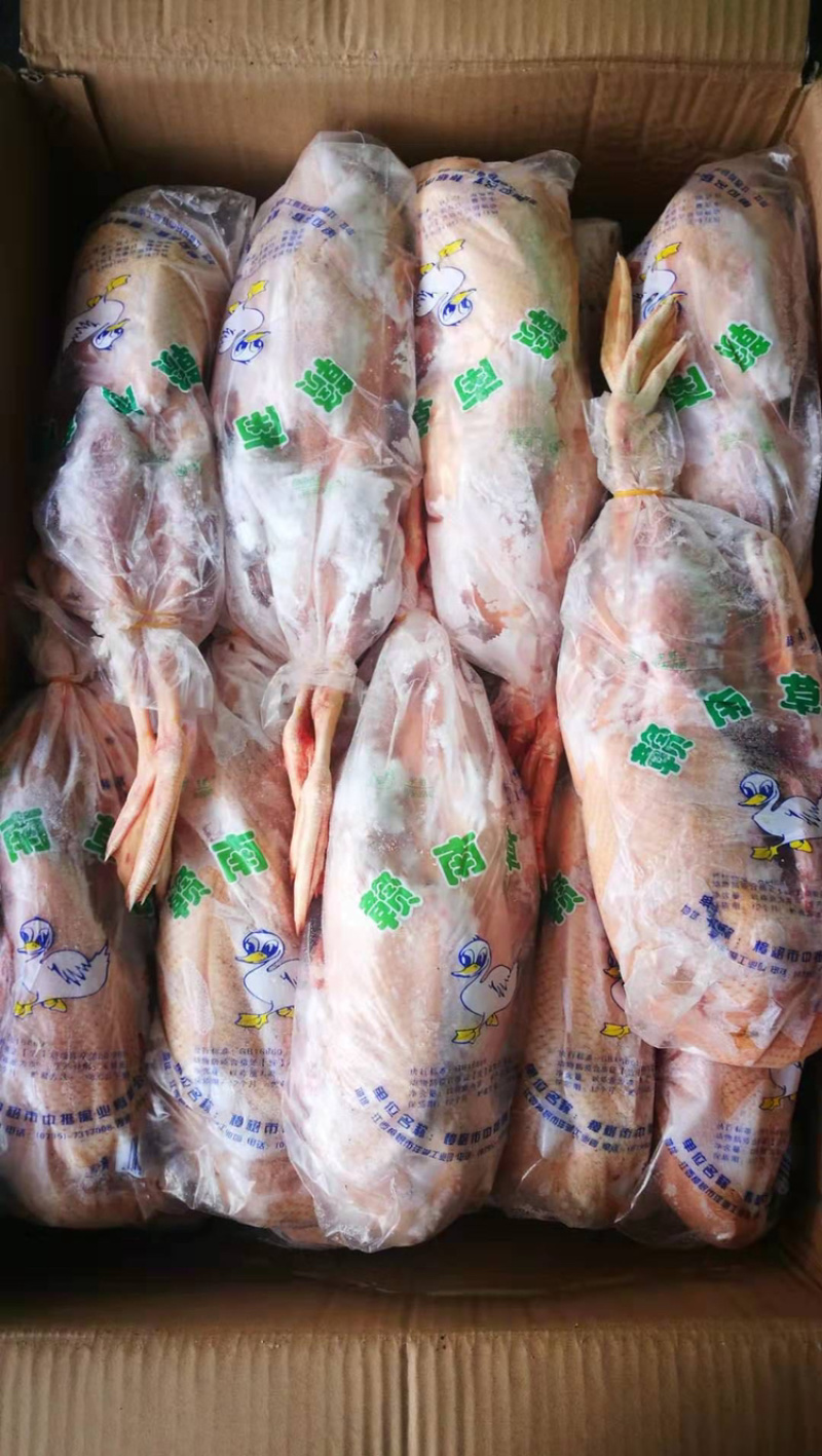 精选草麻鸭开背公鸭，青年麻鸭量大优惠保质保量
