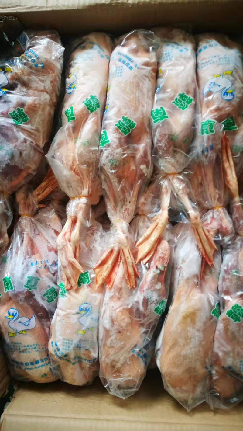 精选草麻鸭开背公鸭，青年麻鸭量大优惠保质保量