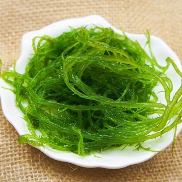 霞浦野生海藻/龙须菜凉拌，炖汤上品可口美味