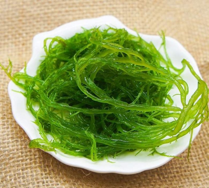 霞浦野生海藻/龙须菜凉拌，炖汤上品可口美味