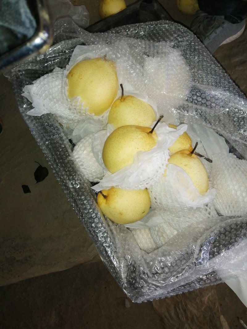 净品雪花梨，汁多，甜脆，肉厚，口感好吃，产地直销，每天供