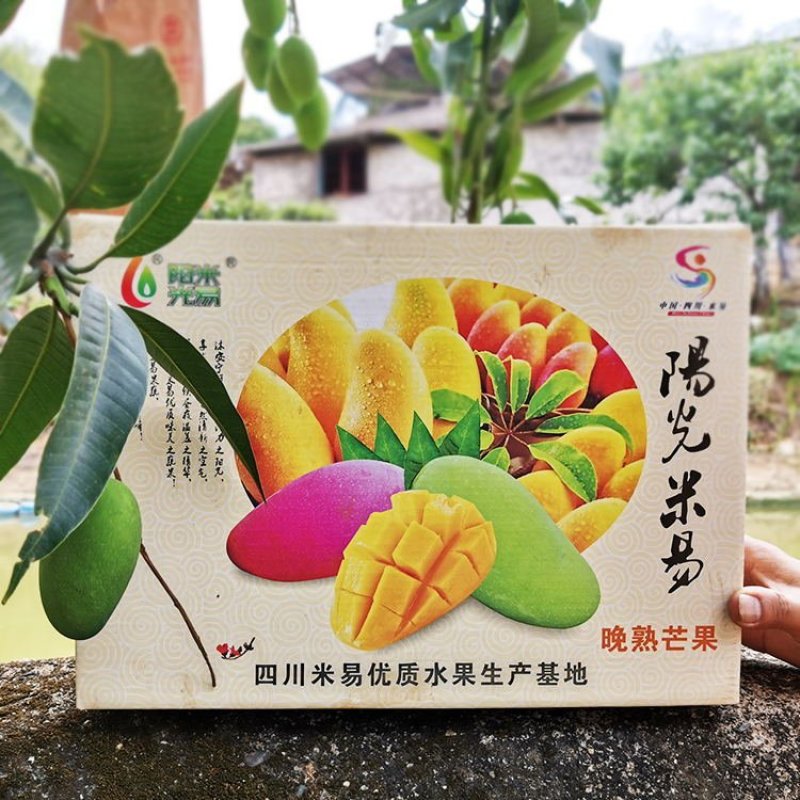 攀枝花凯特芒果10年芒果供应链全网一件代发