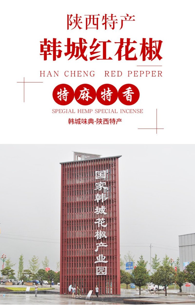 韩城大红袍梅花椒无籽净货陕西原货特红香料麻椒火锅底料花椒