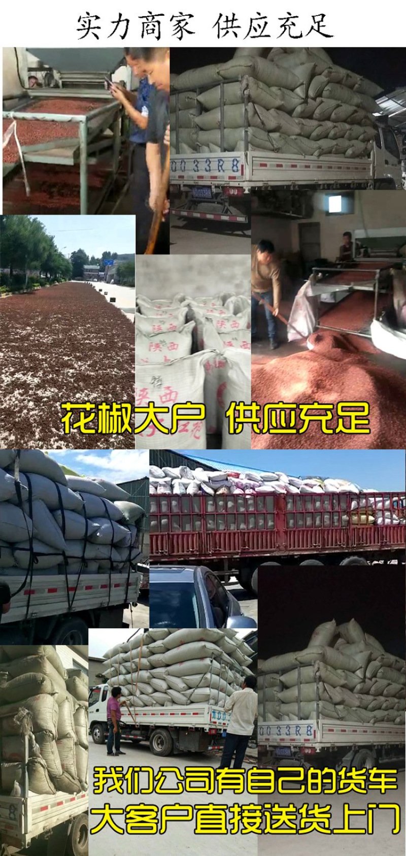 韩城大红袍梅花椒无籽净货陕西原货特红香料麻椒火锅底料花椒