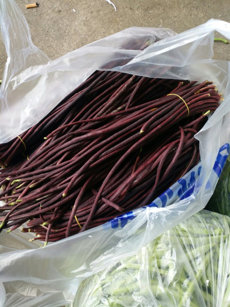 紫豆角红豆角湖南浏阳特有精品红豆角口感清翠香甜