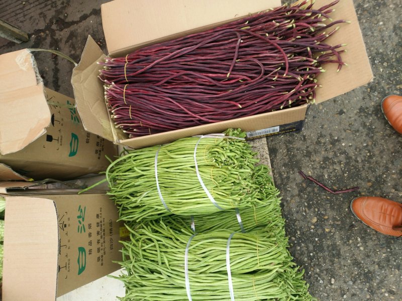 紫豆角红豆角湖南浏阳特有精品红豆角口感清翠香甜