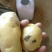 土豆