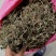 金钱草小叶干货野生