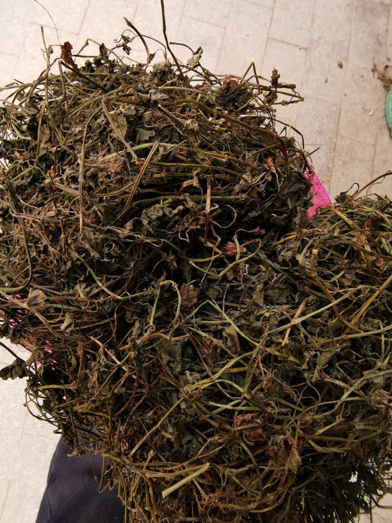 金钱草小叶干货野生