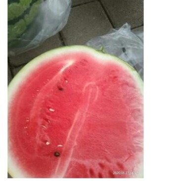 西瓜8424