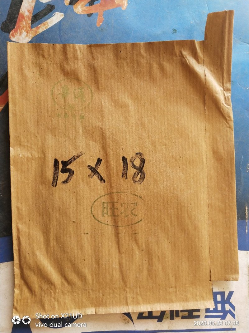 各种规格桃袋.梨袋