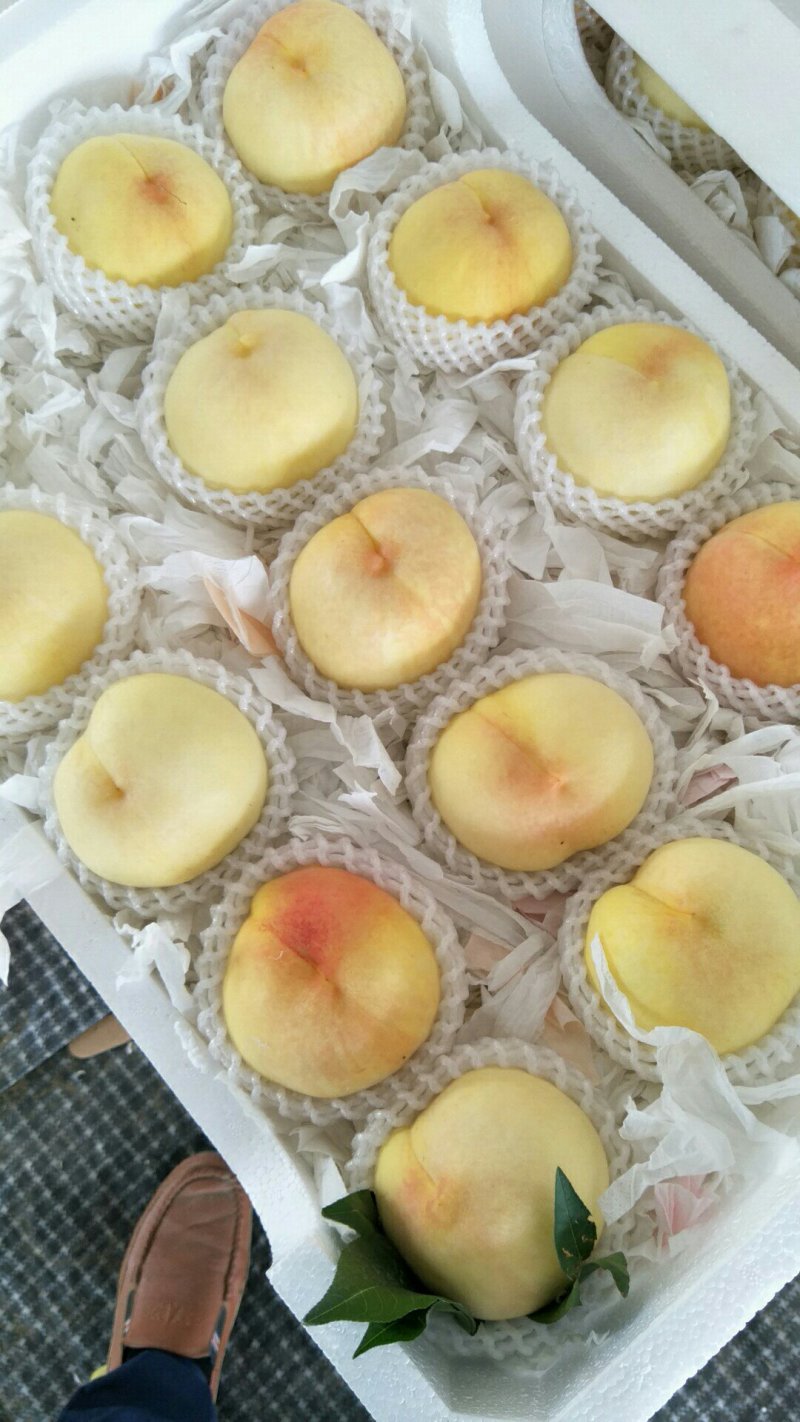突围水蜜桃大量供应，品质让你吓一跳