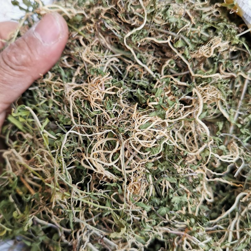 今年野生半边莲干货