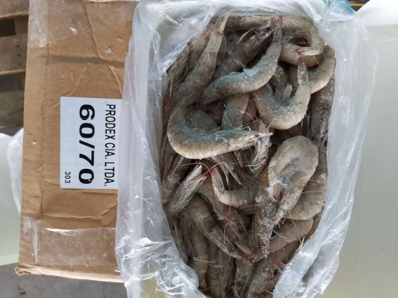 多尔虾，虾尾