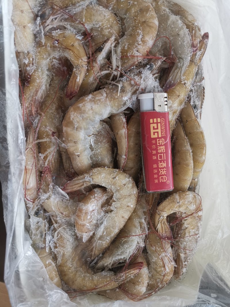 多尔虾，虾尾