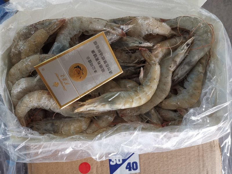 多尔虾，虾尾