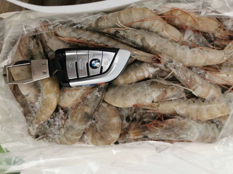 厄瓜多尔进口虾