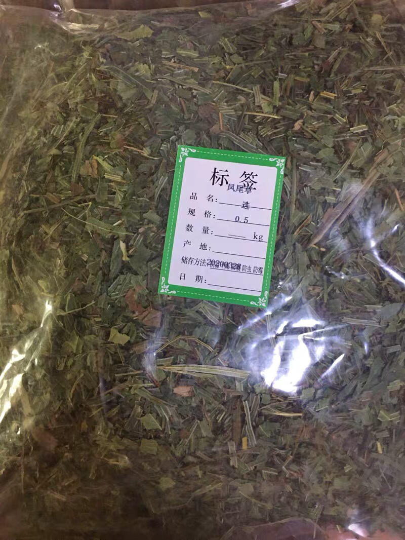 中药材凤尾草凤尾七鸡爪草阉鸡尾金鸡尾凤尾草