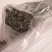 中药材凤尾草凤尾七鸡爪草阉鸡尾金鸡尾凤尾草