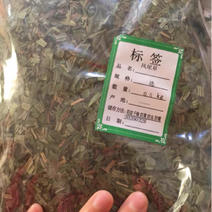 中药材凤尾草凤尾七鸡爪草阉鸡尾金鸡尾凤尾草