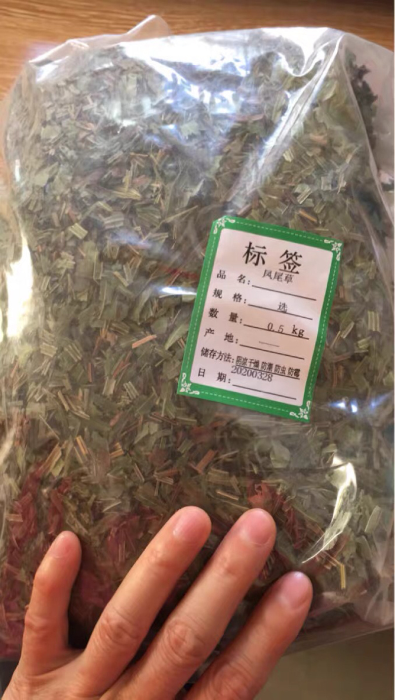 中药材凤尾草凤尾七鸡爪草阉鸡尾金鸡尾凤尾草