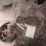 中药材凤尾草凤尾七鸡爪草阉鸡尾金鸡尾凤尾草