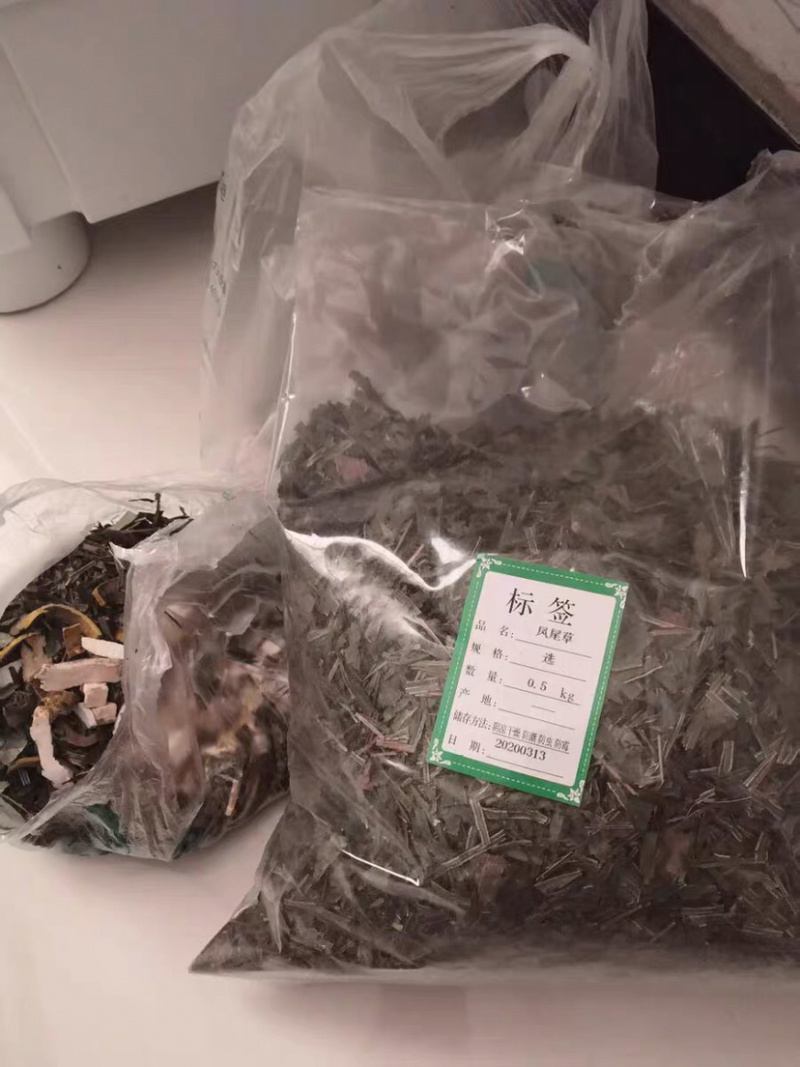 中药材凤尾草凤尾七鸡爪草阉鸡尾金鸡尾凤尾草