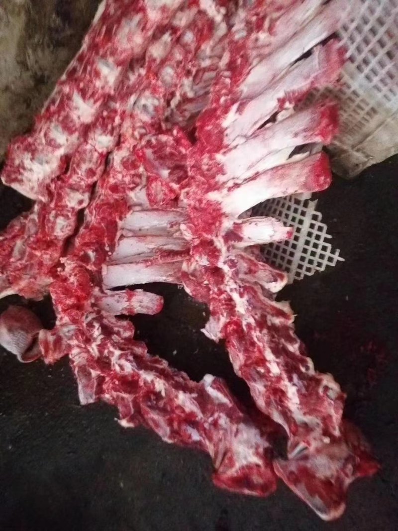 牛脖骨，牛脊骨，肋条头，长期有货，，，，