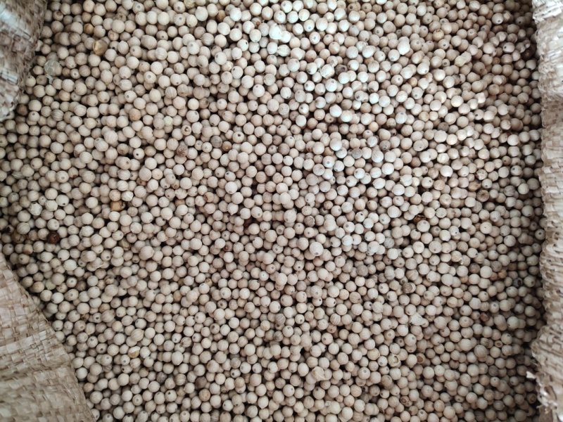 盈江县花椒果实饱满粒粒夺胃
