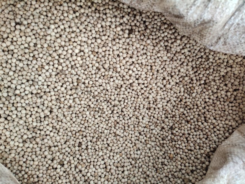 盈江县花椒果实饱满粒粒夺胃