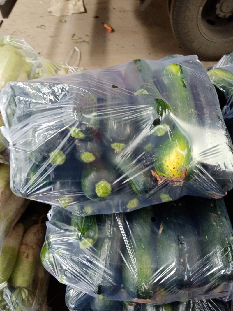 精品青南瓜，大量上市，货源充足，产地直供