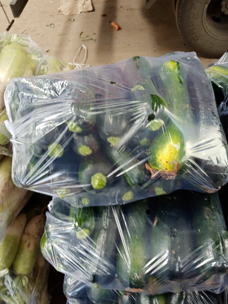 精品青南瓜，大量上市，货源充足，产地直供