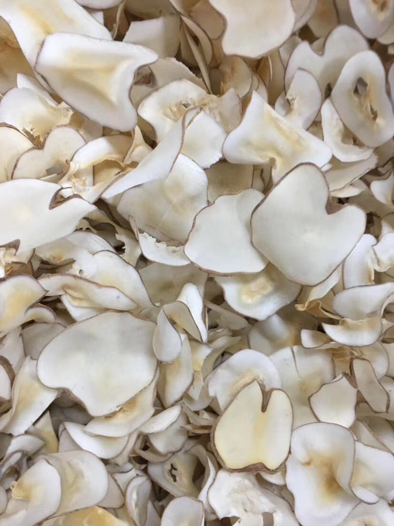 源头批发泰国海底椰片新鲜香味浓白色价格优势