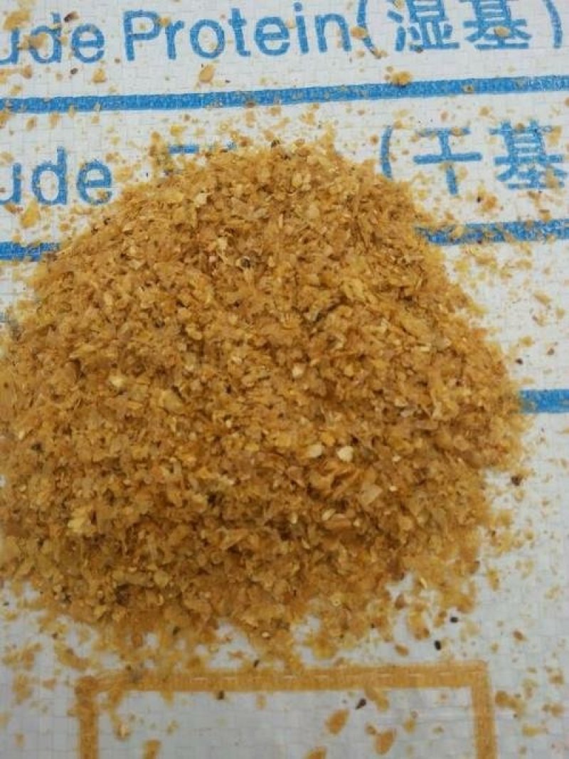 玉米酒糟DDGS牛羊育肥神器营养价值高质量保证