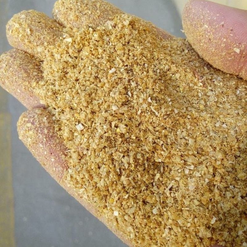 玉米酒糟DDGS牛羊育肥神器营养价值高质量保证