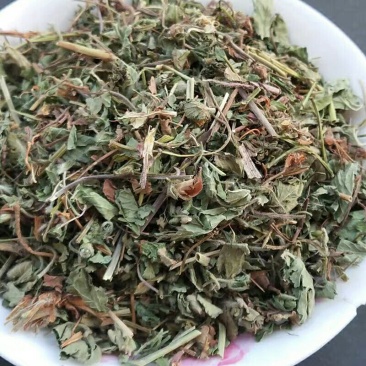 中药材蛇莓蛇莓草龙吐珠地莓三叶莓蛇莓草