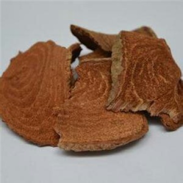 新货过江龙过岗龙中药材1