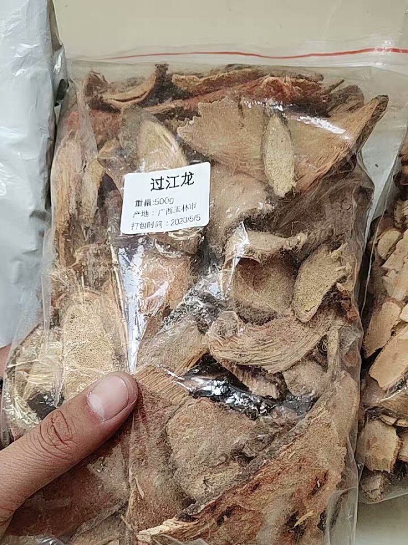 新货过江龙过岗龙中药材1
