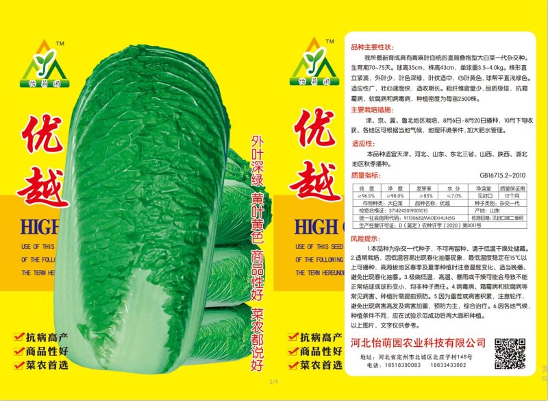 白菜种子精品白菜种子供应