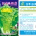 白菜种子精品白菜种子供应