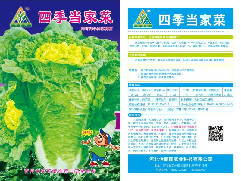白菜种子精品白菜种子供应