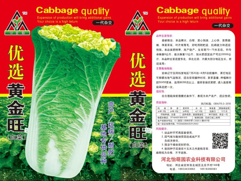白菜种子精品白菜种子供应