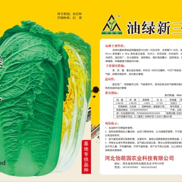 白菜种子精品白菜种子供应