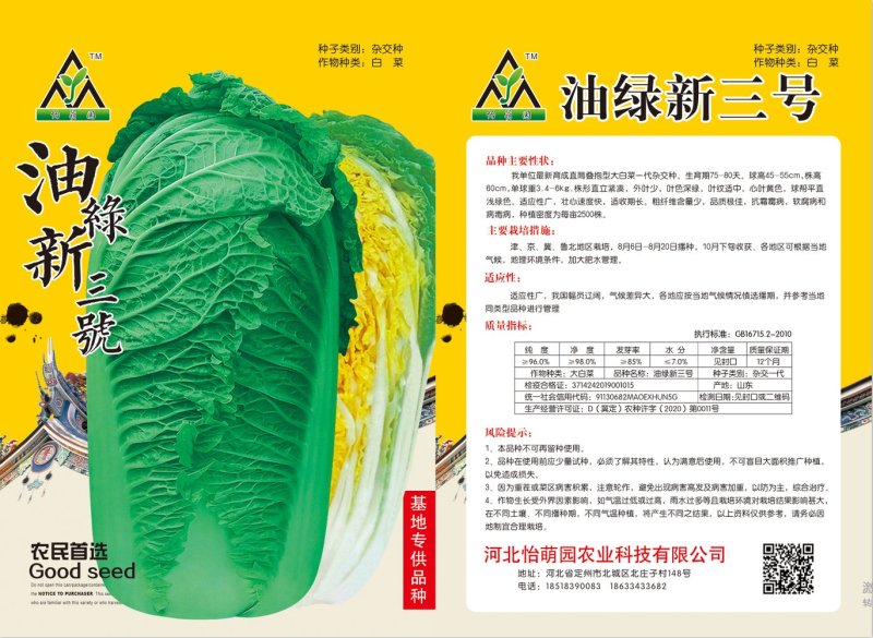 白菜种子精品白菜种子供应
