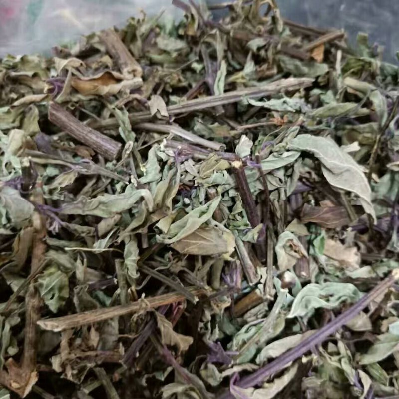 猫须草中药才猫须草干货猫须草