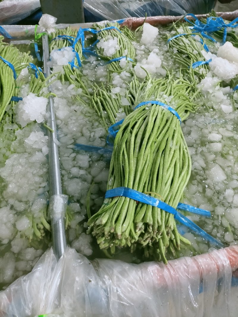 云南精品长豆角，长豇豆，一手货源，新鲜60～80com