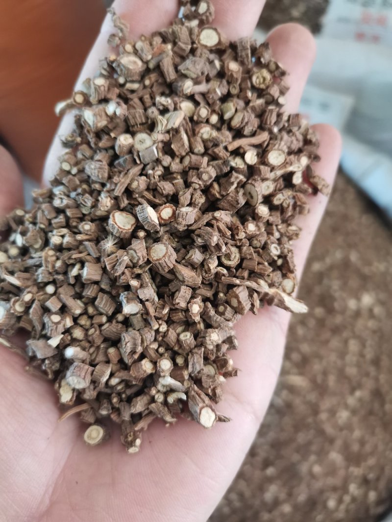 藏柴胡甘肃无硫熏各种规格一公斤起发货