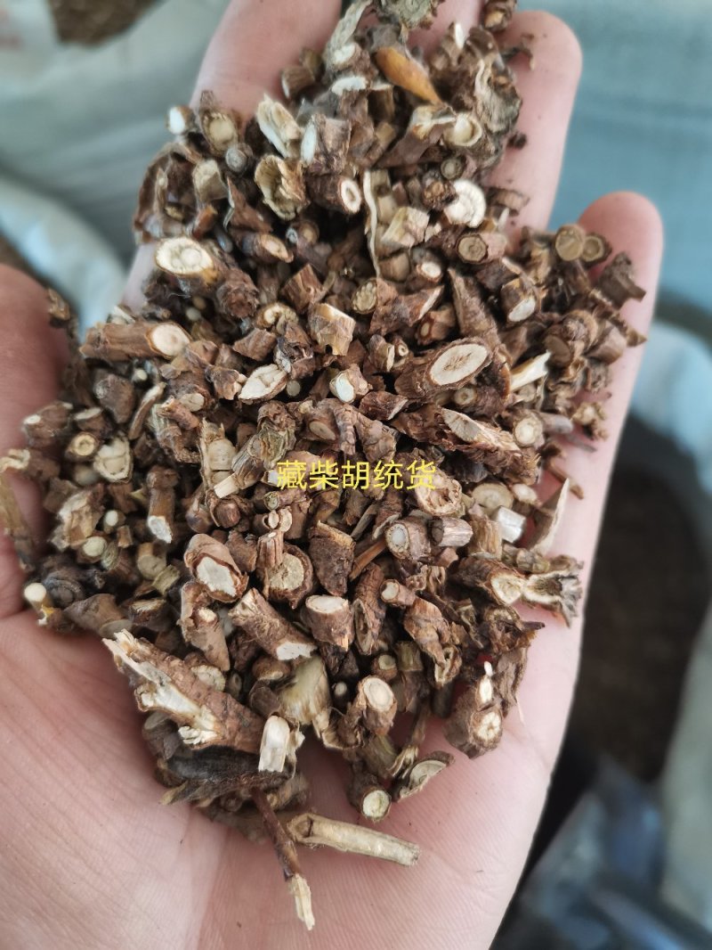 藏柴胡甘肃无硫熏各种规格一公斤起发货