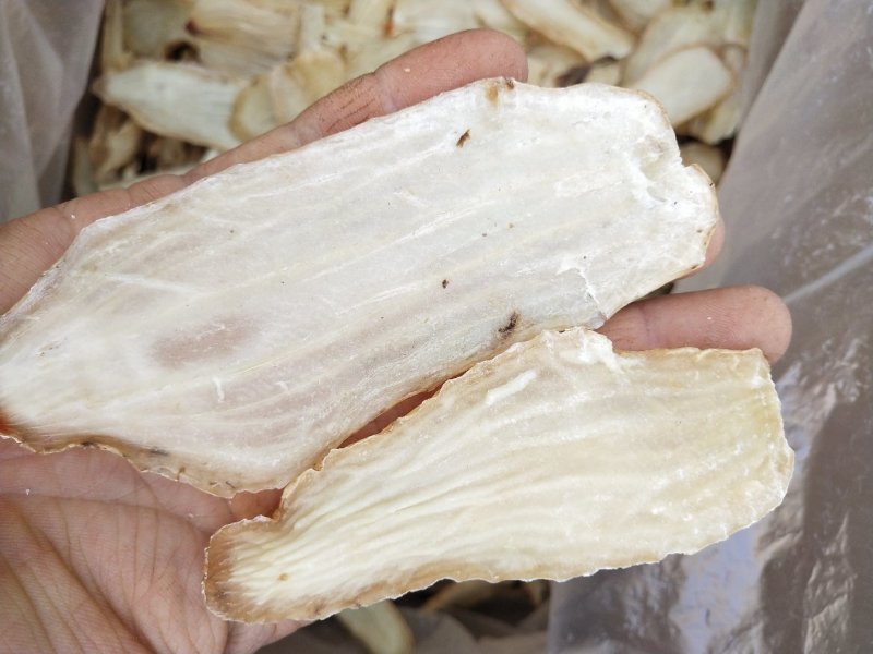 红白天麻片8-15个切片，来自云南昭通彩色自封袋包装包邮
